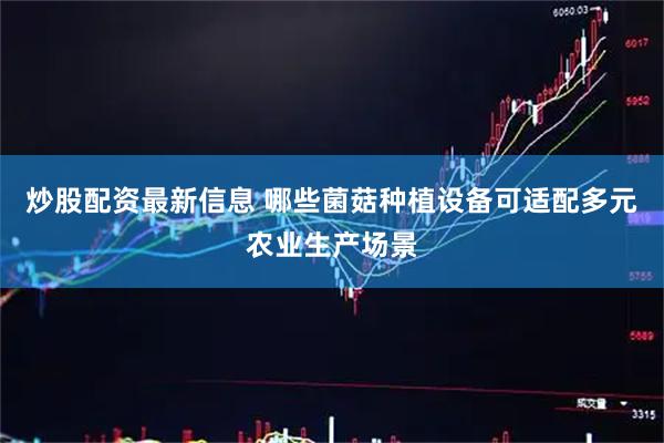 炒股配资最新信息 哪些菌菇种植设备可适配多元农业生产场景